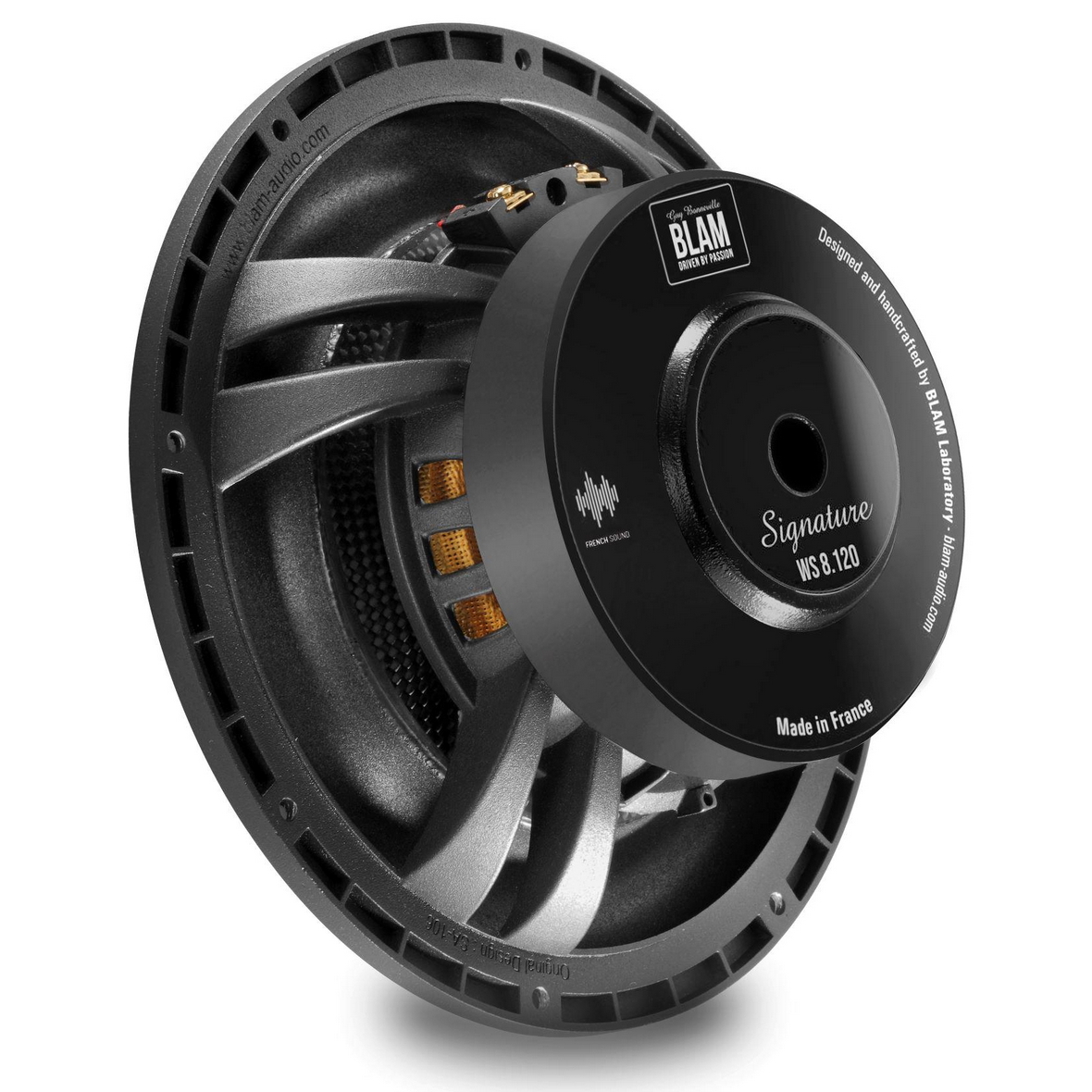 blam-ws8120_id3286_2 blam-ws8120_id3286_2