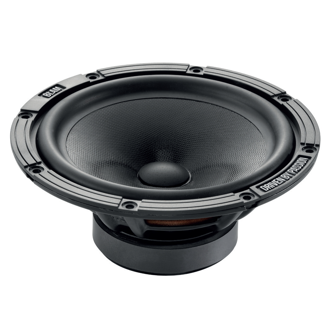 blam-w165-es_id6133_1 blam-w165-es_id6133_1